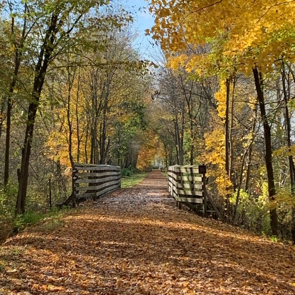 Meet your Posher, Melissa - Picture 5 of 5